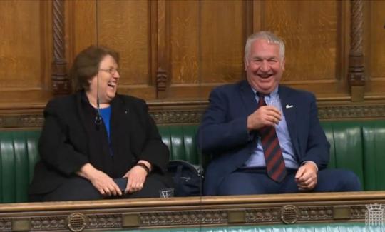 Sir Mike Penning MP and Rosie Cooper MP during the BSL Bill debates